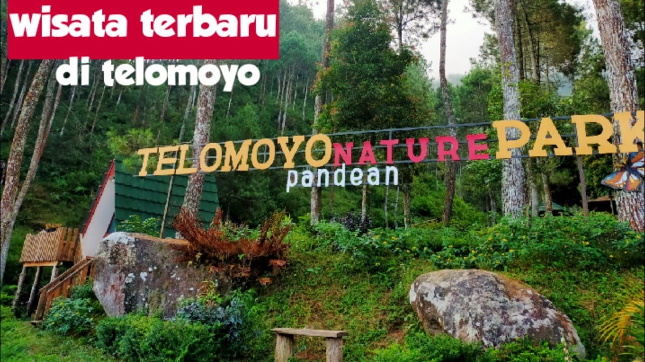 Taman Alam Telomoyo: Pesona Alam yang Mengagumkan